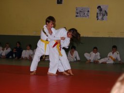 Bilder aus 2010 oder früher